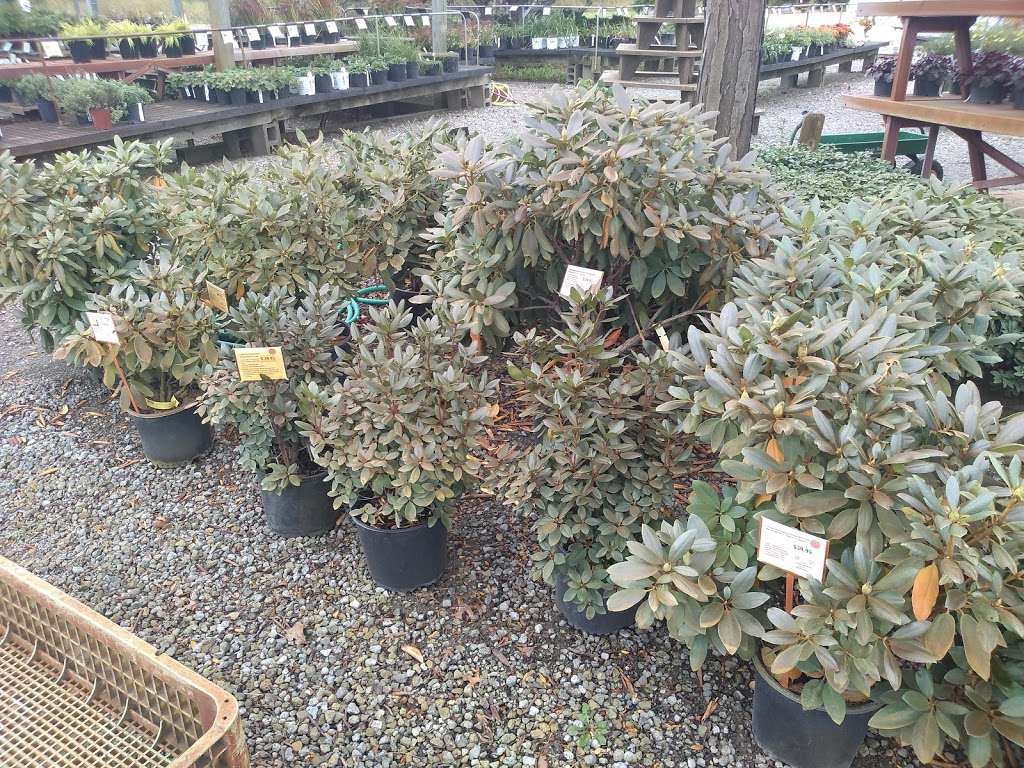 Four Seasons Landscaping Nursery | 226 East U.S. Highway 6, Valparaiso, IN 46383, USA | Phone: (219) 464-4941