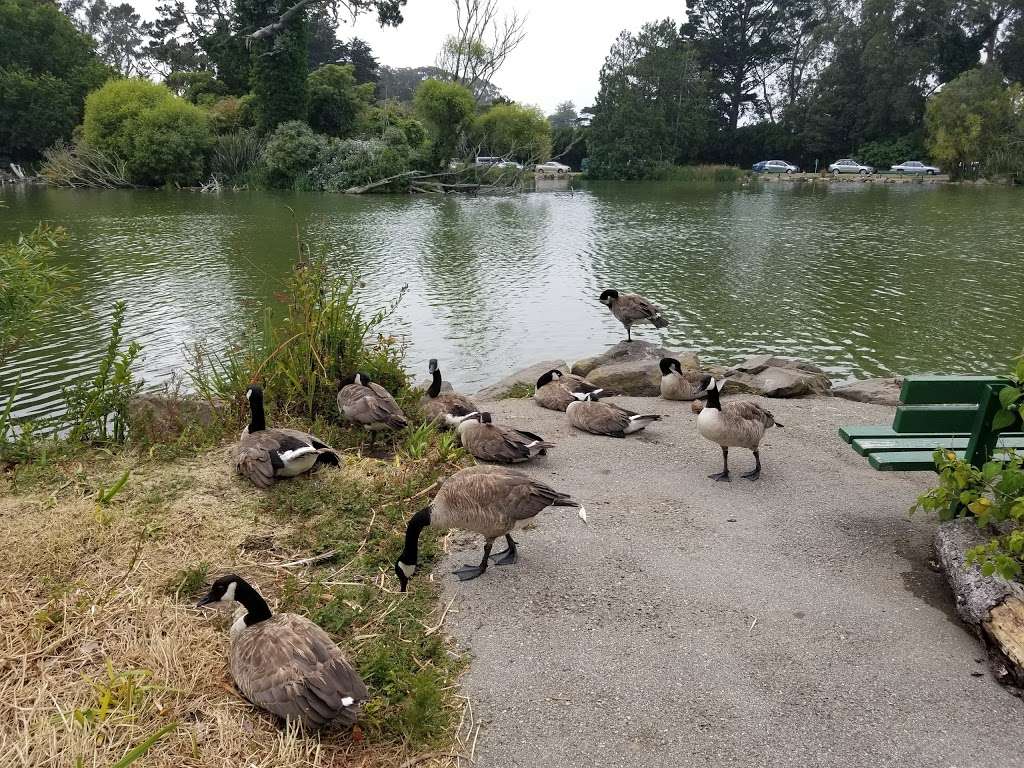 Stow Lake | John F Kennedy Dr & Martin Luther King Jr. Drive, San Francisco, CA 94118, USA | Phone: (415) 831-2700