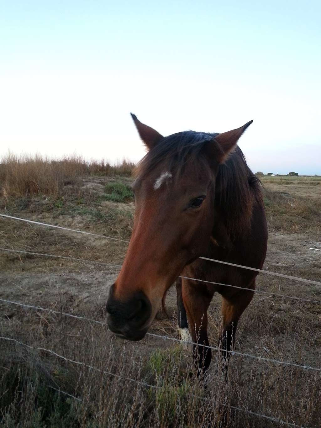 Point Mugu Game Reserve | Oxnard, CA 93033, USA | Phone: (916) 653-4272