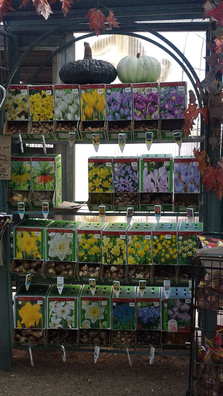 Loveland Garden Center & Nursery | 1801 S Lincoln Ave, Loveland, CO 80537 | Phone: (970) 669-3577