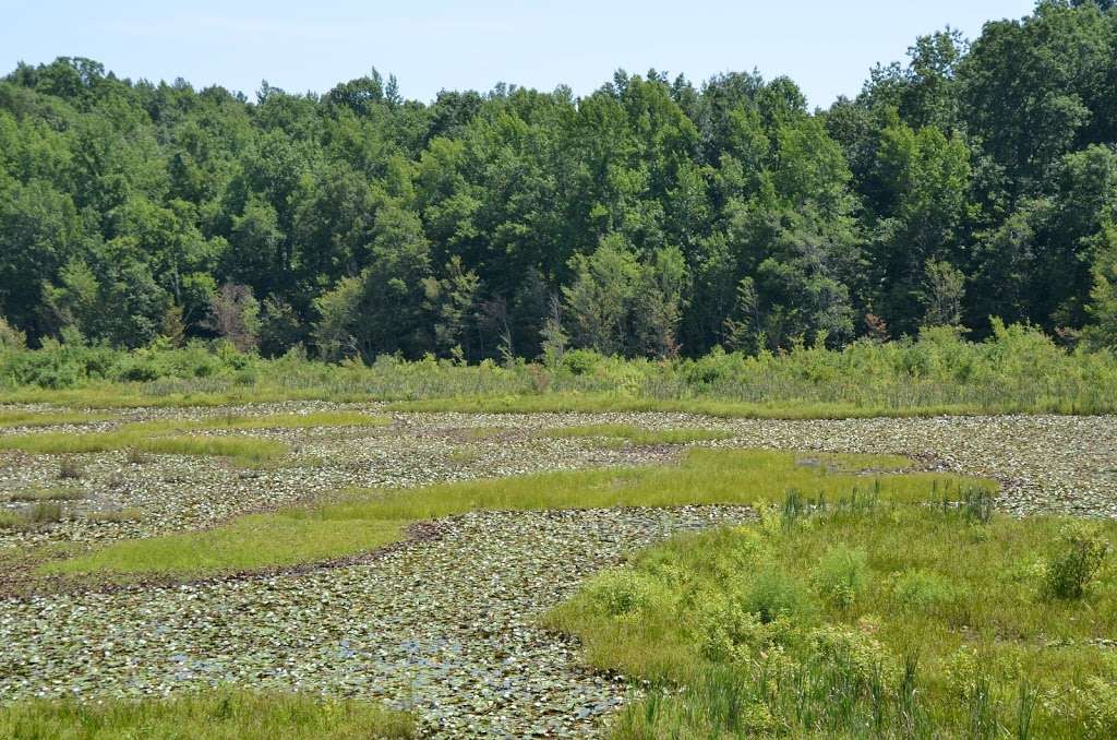 40 Acre Rock Lower Parking | Kershaw, SC 29067, USA