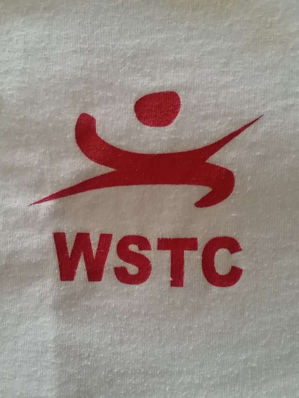 Wushu Taichi Federation Inc | 4815 FM 2351, Friendswood, TX 77546, Friendswood, TX suite 103, USA | Phone: (281) 728-2759