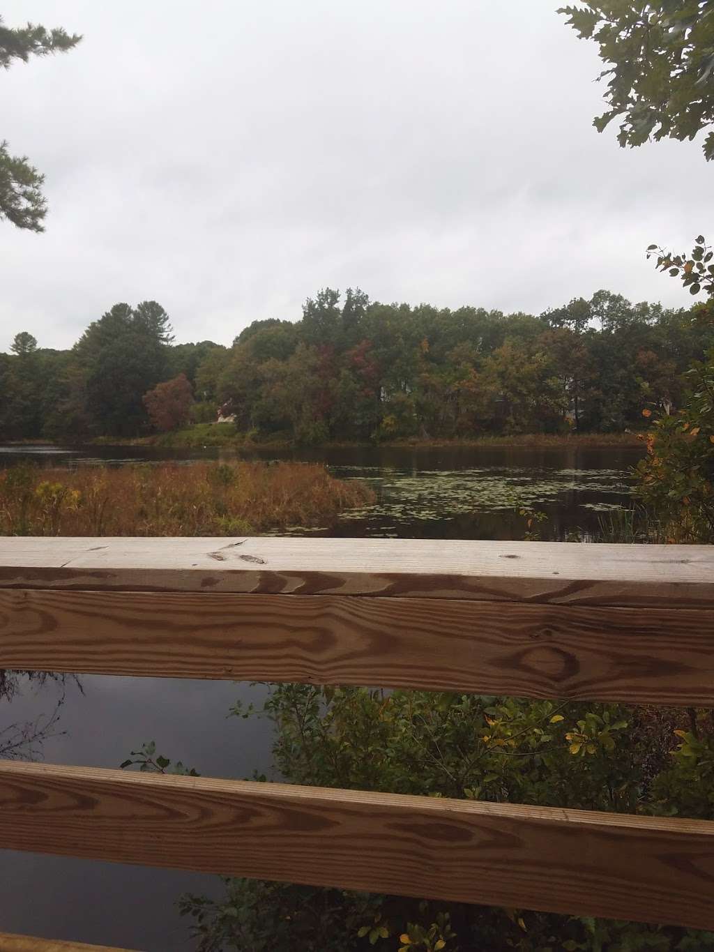 Ice House Landing | Assabet River Rail Trail, Maynard, MA 01754, USA