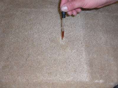 dyeyourcarpet.com | 9111 Burnet Ave, North Hills, CA 91343, USA | Phone: (951) 796-1095