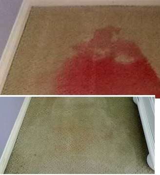 Affordable Clean Carpet Service | 669 McDonald Ln, Escondido, CA 92025, USA | Phone: (619) 630-8395