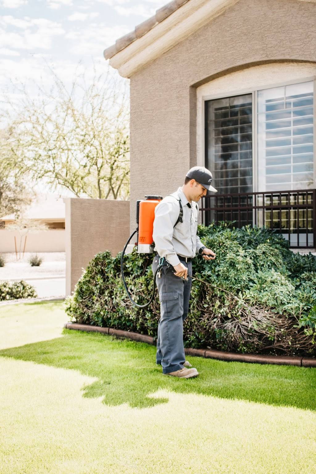 Preventive Pest Control - Mesa | 18570 S 186th Way #101, Queen Creek, AZ 85142, USA | Phone: (480) 558-8555