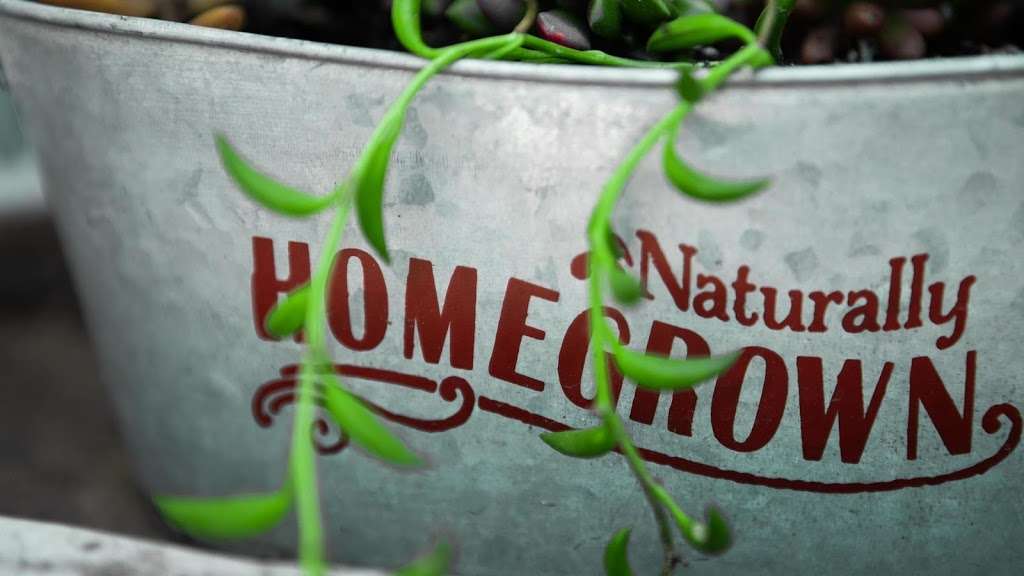 Homegrown Garden Supply | 841 Rancheros Dr, San Marcos, CA 92069, USA | Phone: (760) 746-0875