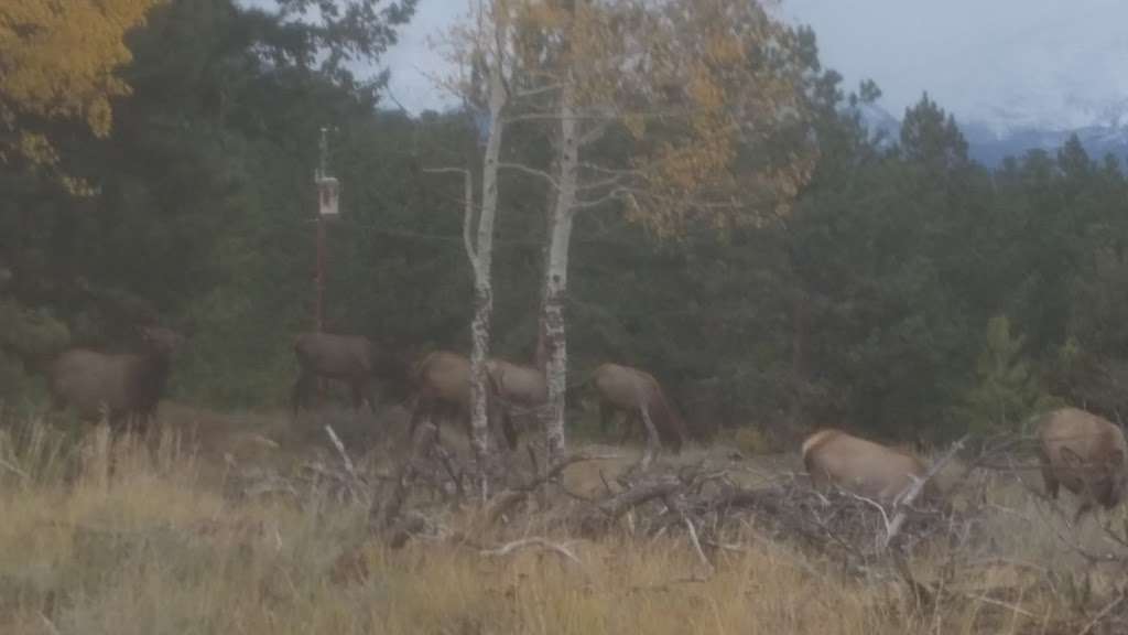 Everhart | Estes Park, CO 80517