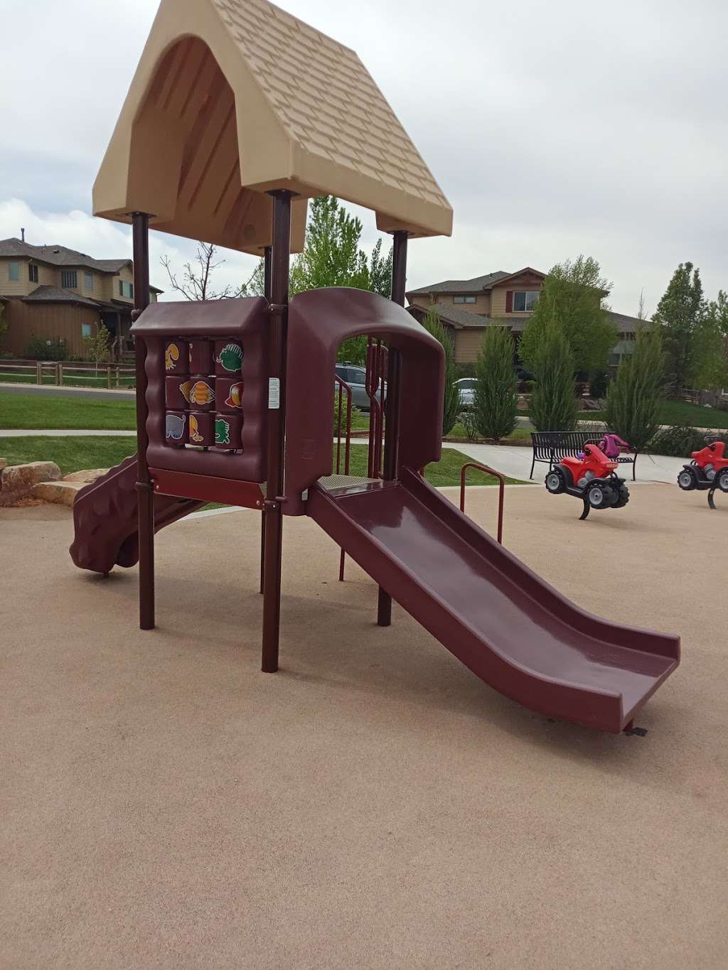 Bison Ridge Park in Yonkee Dr, Windsor, CO 80550, USA