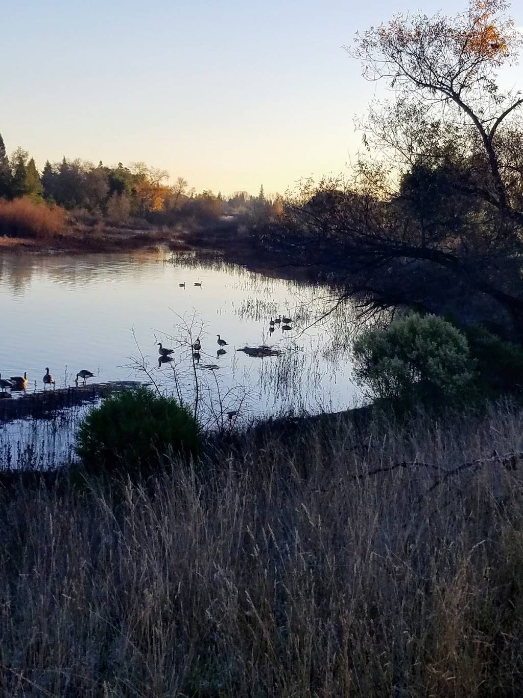 North Laguna Creek Park | 6400 Jacinto Ave, Sacramento, CA 95823, USA | Phone: (916) 808-5200