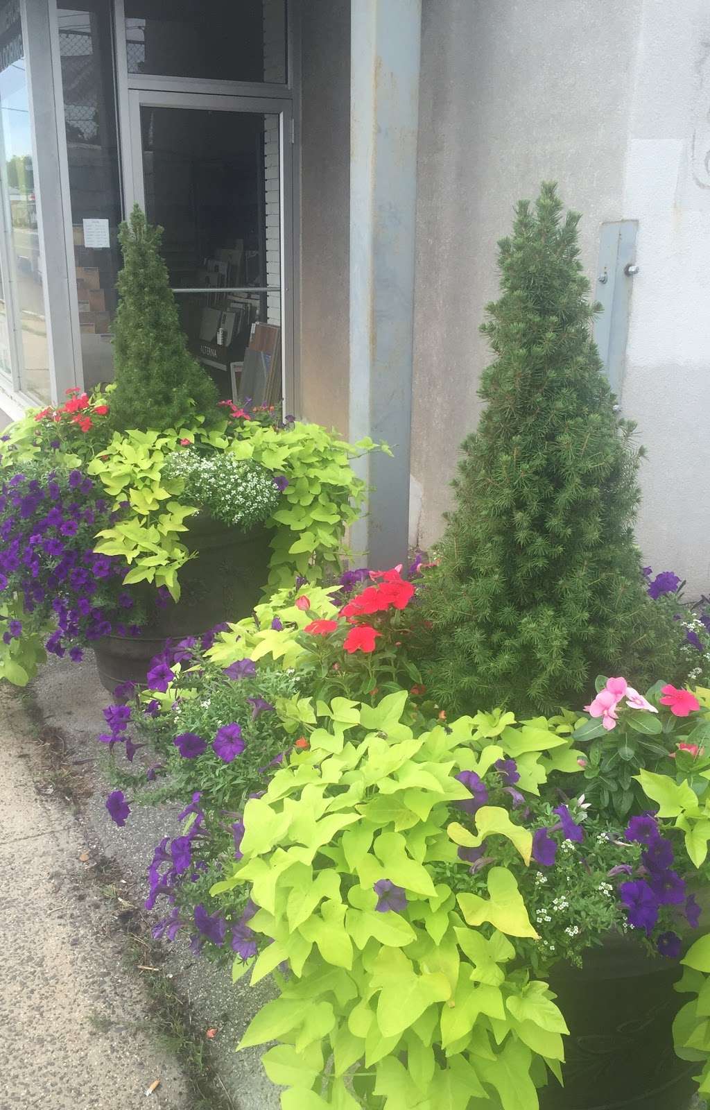 West Carpets Inc | 385 St George Ave, Rahway, NJ 07065, USA | Phone: (732) 499-8221