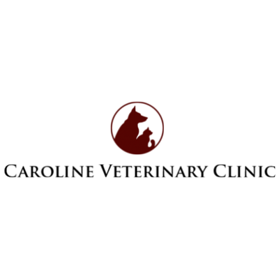 Caroline Veterinary Clinic | 9 N Central Ave, Ridgely, MD 21660, USA | Phone: (410) 634-2666