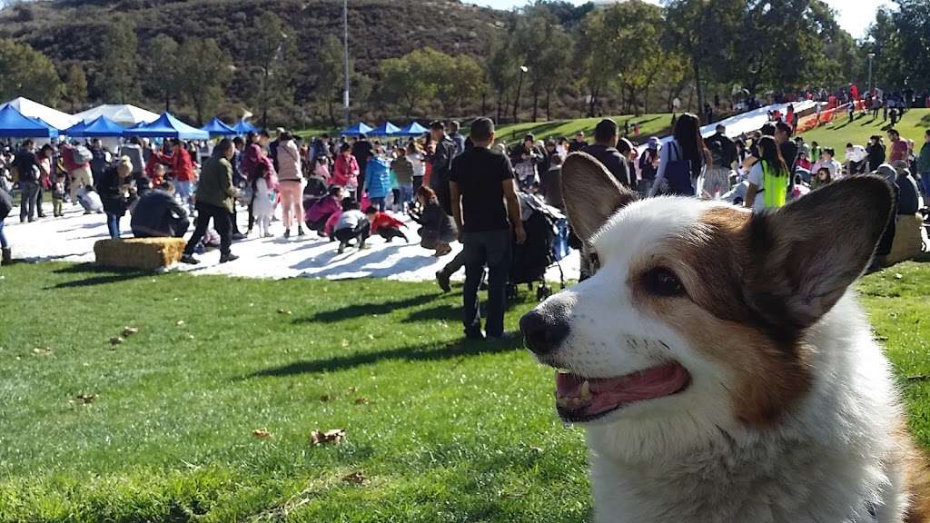 Pantera Park | 738 Pantera Dr, Diamond Bar, CA 91765, USA | Phone: (909) 839-7000