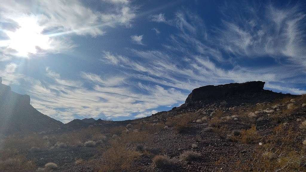 Phainopepla Pass | Henderson, NV 89002, USA