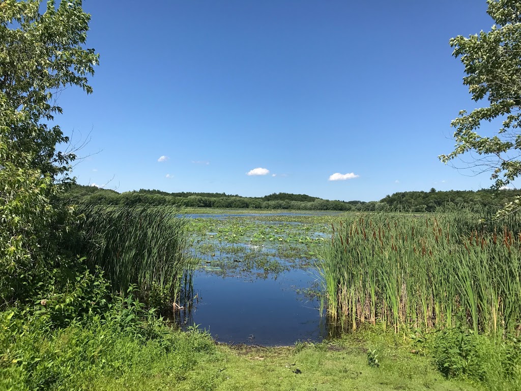 Great Meadows National Wildlife Refuge | 73 Weir Hill Rd, Sudbury, MA 01776, USA | Phone: (978) 443-4661