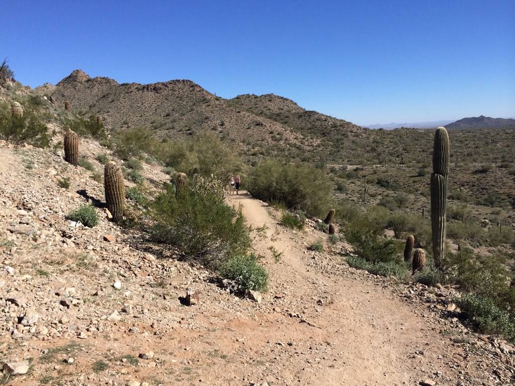 San Tan Mountain Regional Park | 6533 W Phillips Rd, Queen Creek, AZ 85142, USA | Phone: (602) 506-2930