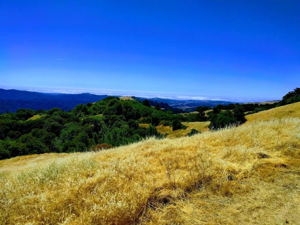 Skyline Ridge Open Space Preserve | 330 Distel Cir, Los Altos, CA 94022, USA | Phone: (650) 691-1200