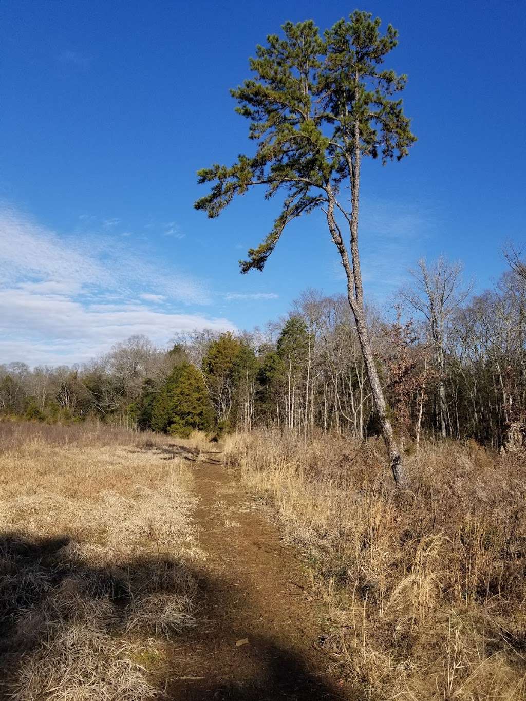 Piedmont Prairie Trail - McDowell Nature Preserve | 12600 4 Horse Rd, Charlotte, NC 28278, USA | Phone: (980) 314-1128