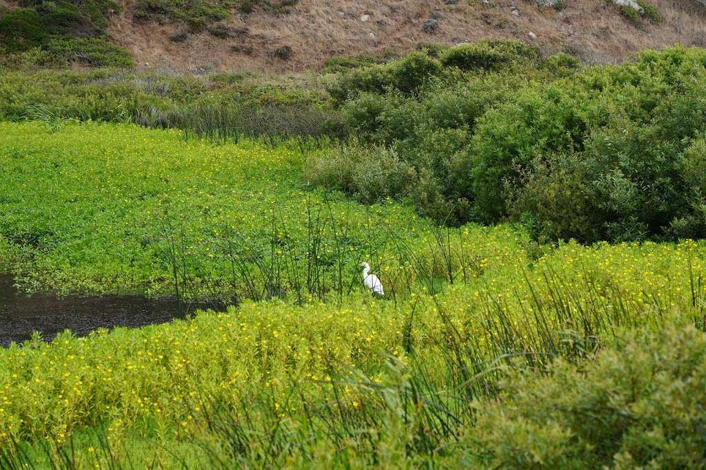 Tennessee Valley Beach | Mill Valley, CA 94941, USA | Phone: (415) 331-1540