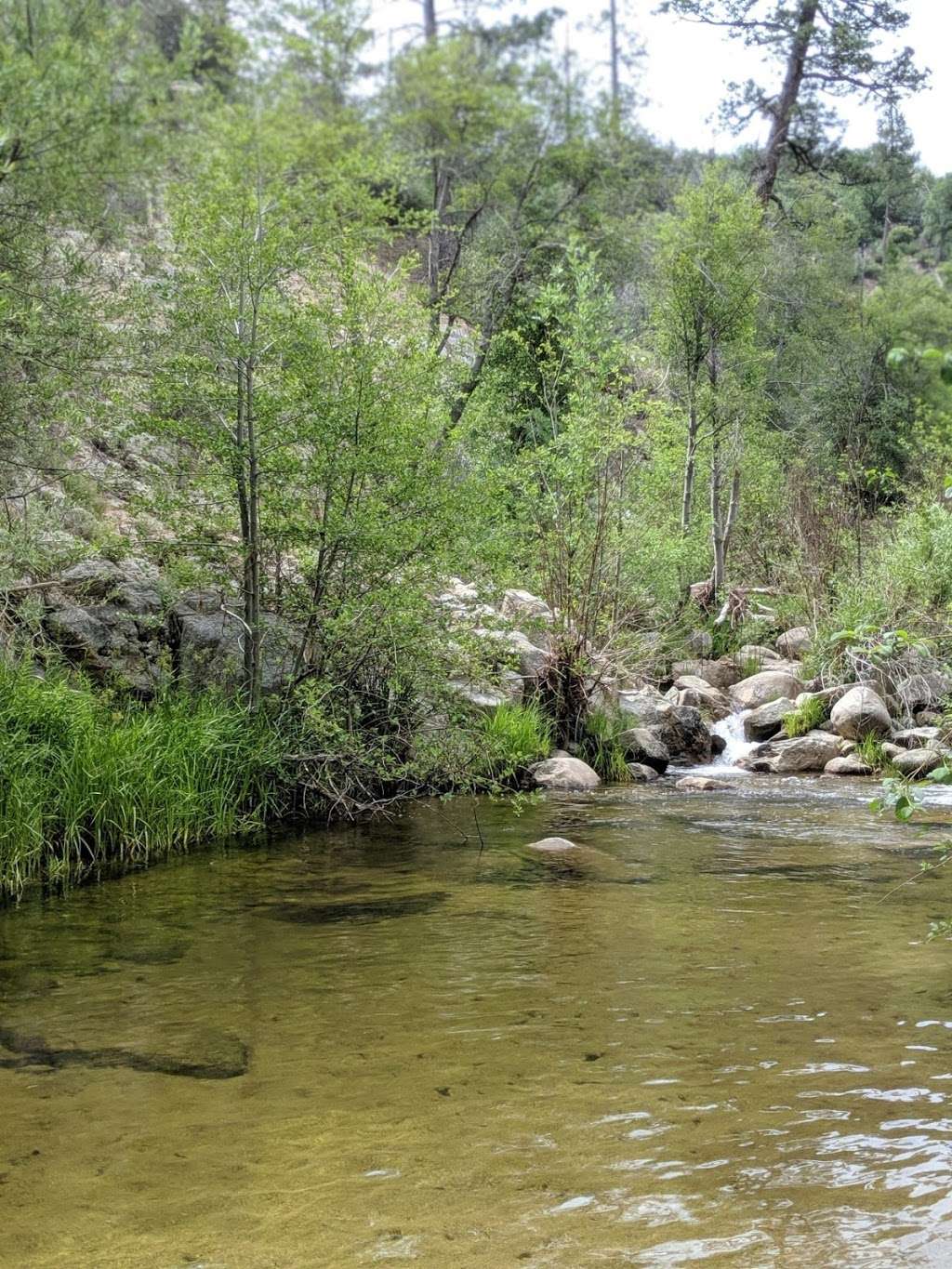 Splinters Cabin Day Use Area | Crab Flats, Green Valley Lake, CA 92341, USA | Phone: (909) 382-2790