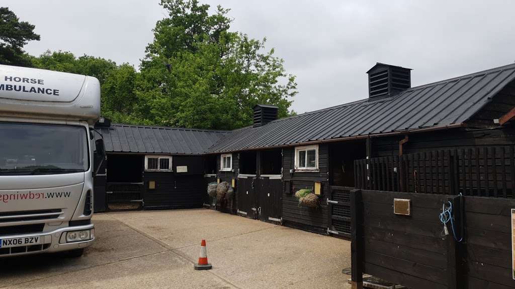 Redwings Horse Sanctuary - Ada Cole | Broadlands, Epping Road, B181, Roydon, Nazeing EN9 2DH, UK | Phone: 0870 040 0033