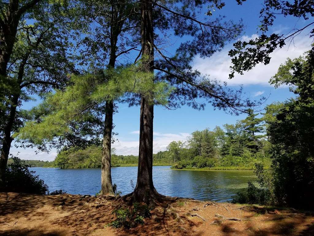 Watson Pond State Park | 1644 Bay St, Taunton, MA 02780, USA | Phone: (508) 884-8280