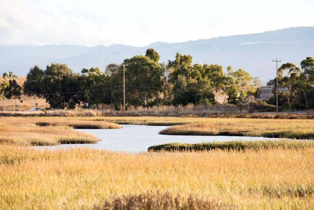 Baylands Nature Preserve - City of Palo Alto | Palo Alto, CA 94303, USA | Phone: (650) 617-3156