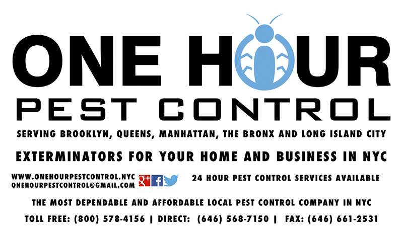 One Hour Pest Control | 69-64 74th St, Flushing, NY 11379, USA | Phone: (646) 568-7150