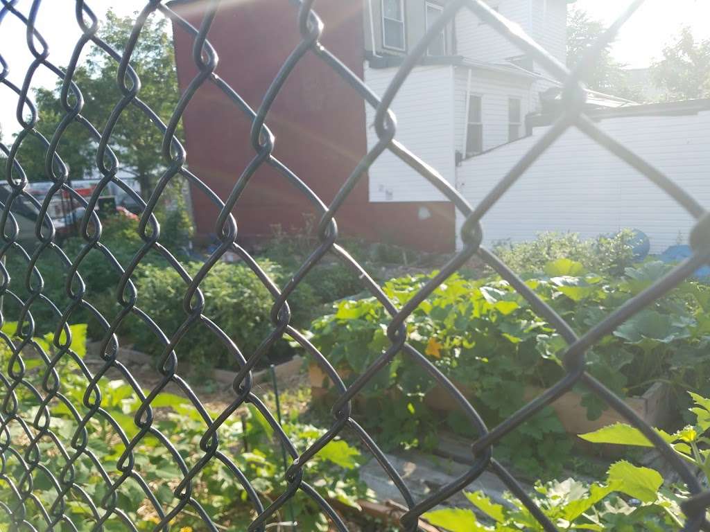 Imani Community Garden | 87-91 Schenectady Ave, Brooklyn, NY 11213, USA | Phone: (212) 333-2552