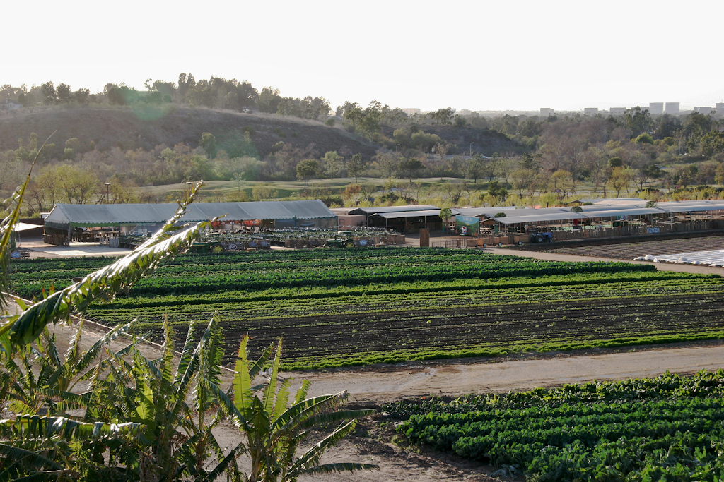 Tanaka Farms | 5380 University Dr, Irvine, CA 92612 | Phone: (949) 653-2100