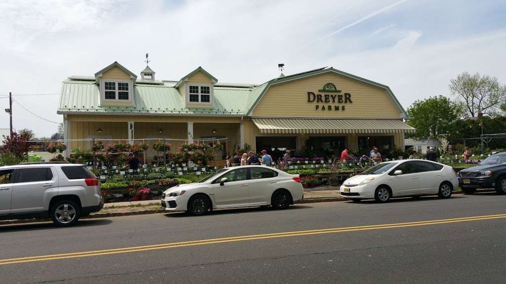 Dreyer Farms | 831 Springfield Ave, Cranford, NJ 07016 | Phone: (908) 276-1290