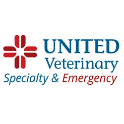 United Veterinary Specialty & Emergency | 5406 Thornwood Dr #190, San Jose, CA 95123, USA | Phone: (408) 578-5622