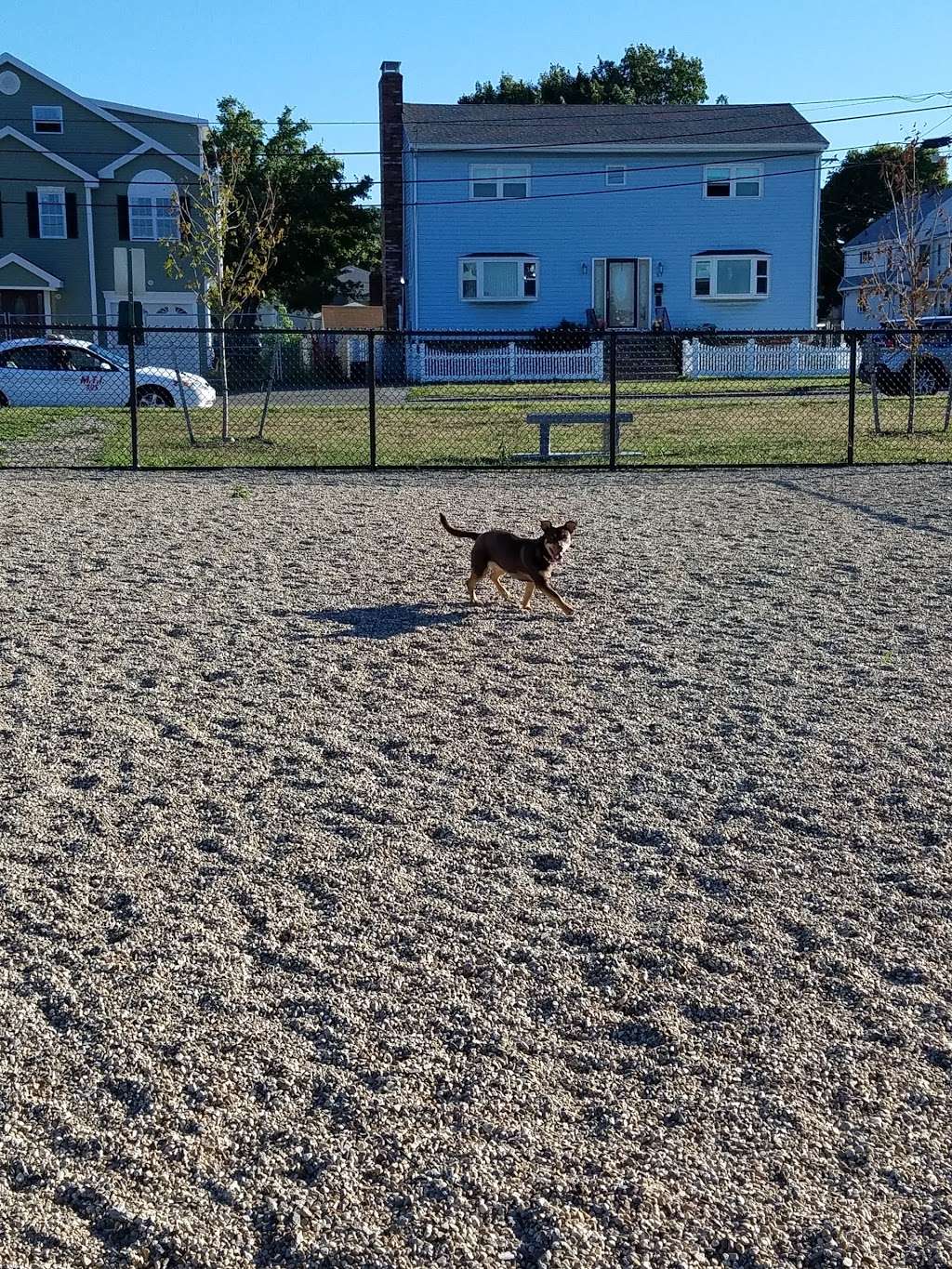 Paws & Play Dog Park | 68 Sargent St, Revere, MA 02151, USA