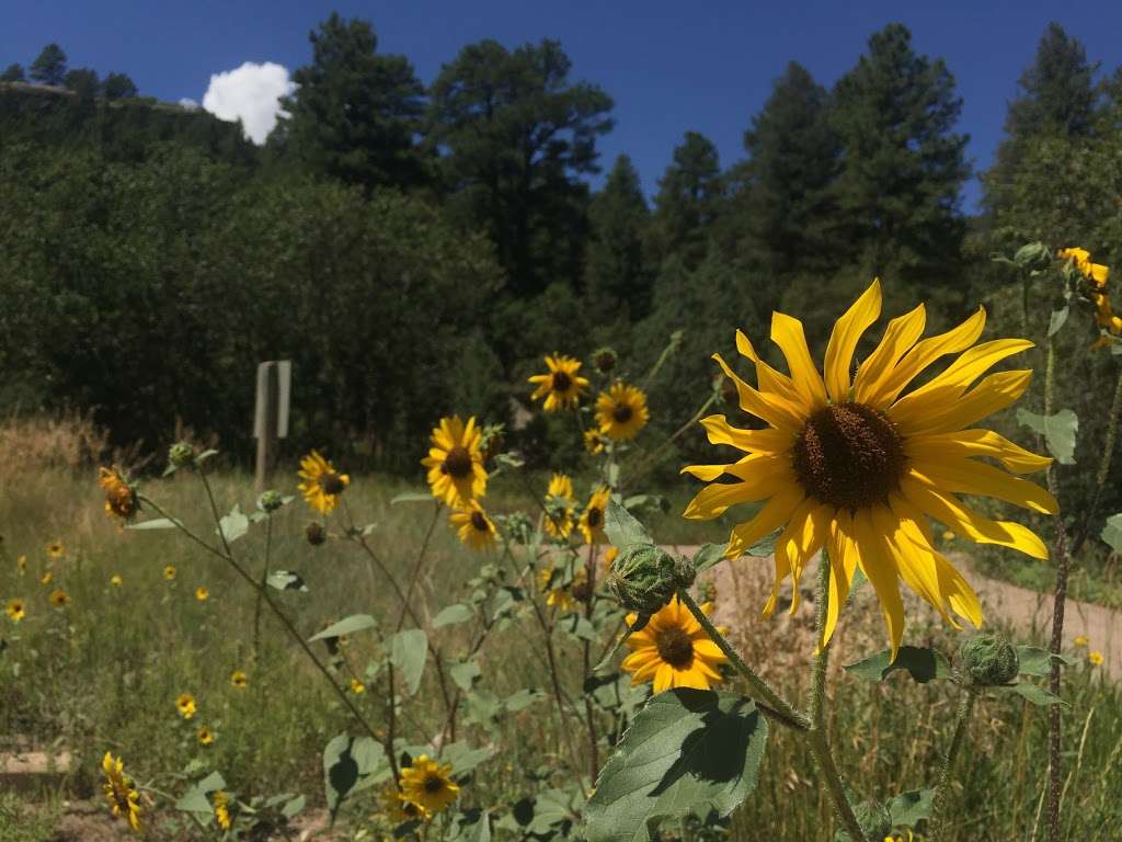 Castlewood Canyon State Park - West Entrance | 125 N Castlewood Canyon Rd, Castle Rock, CO 80104, USA