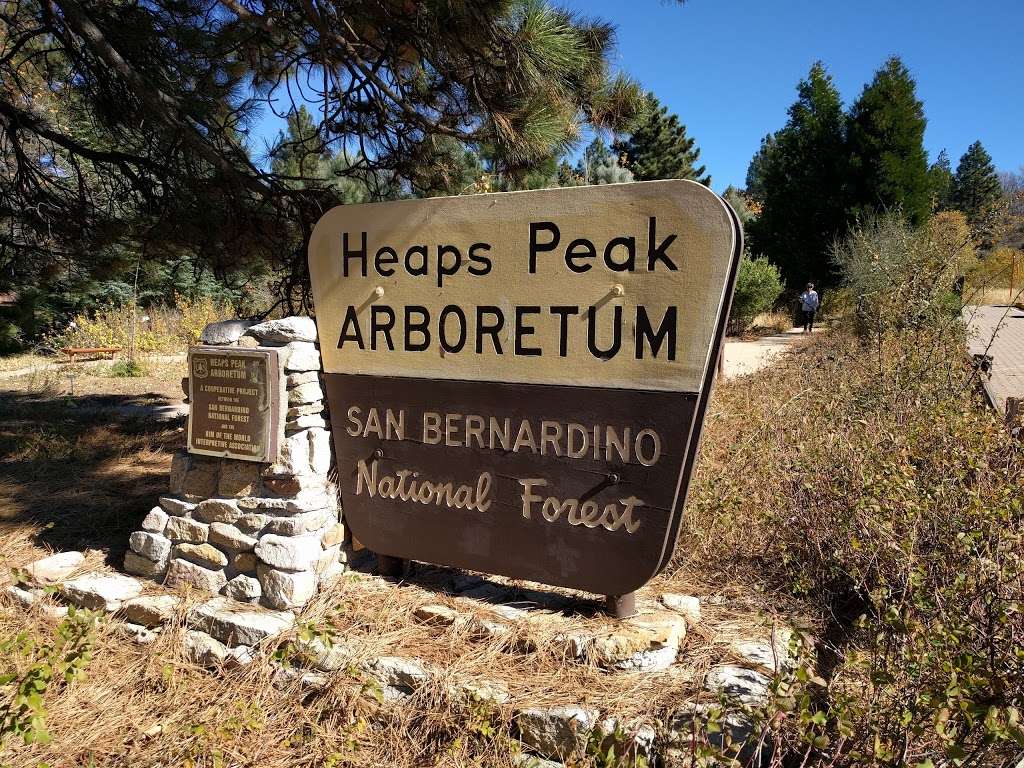 Heaps Peak Arboretum Day Use Area | 29358 Rim of the World Hwy #18, Skyforest, CA 92385, USA | Phone: (909) 382-2790