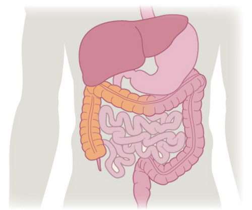 Gastrointestinal Health Spec | 610 Plaza Dr #1, Sycamore, IL 60178, USA | Phone: (815) 895-5252