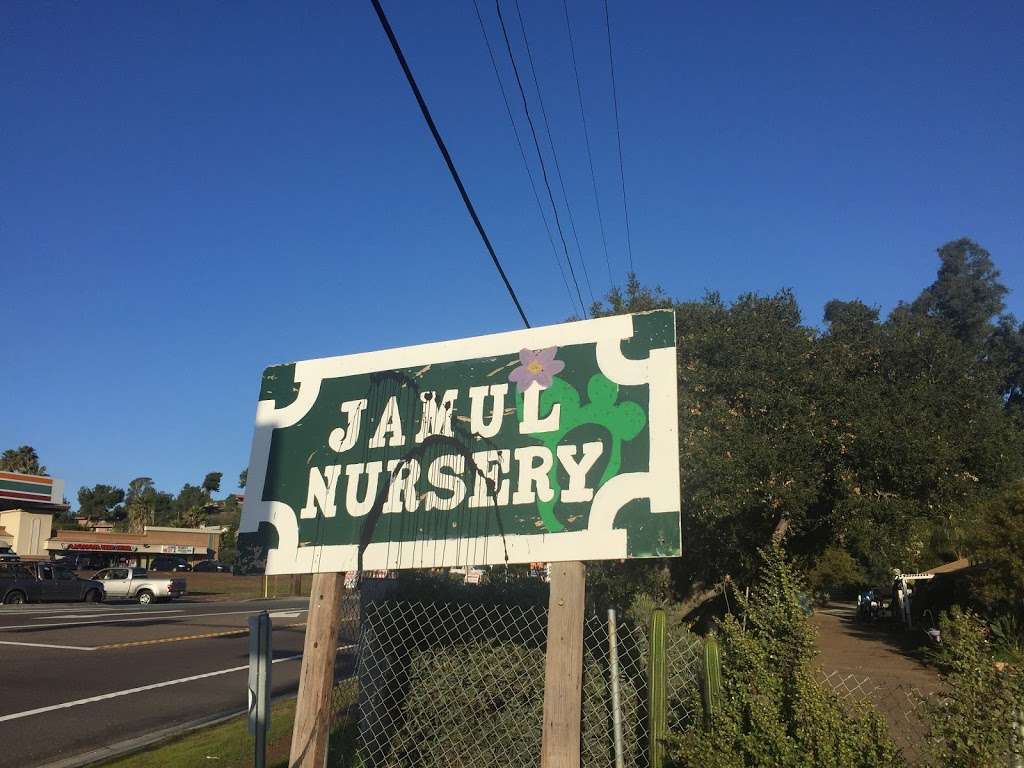 Jamul Nursery | 12931 Campo Rd, Jamul, CA 91935, USA | Phone: (619) 753-7307