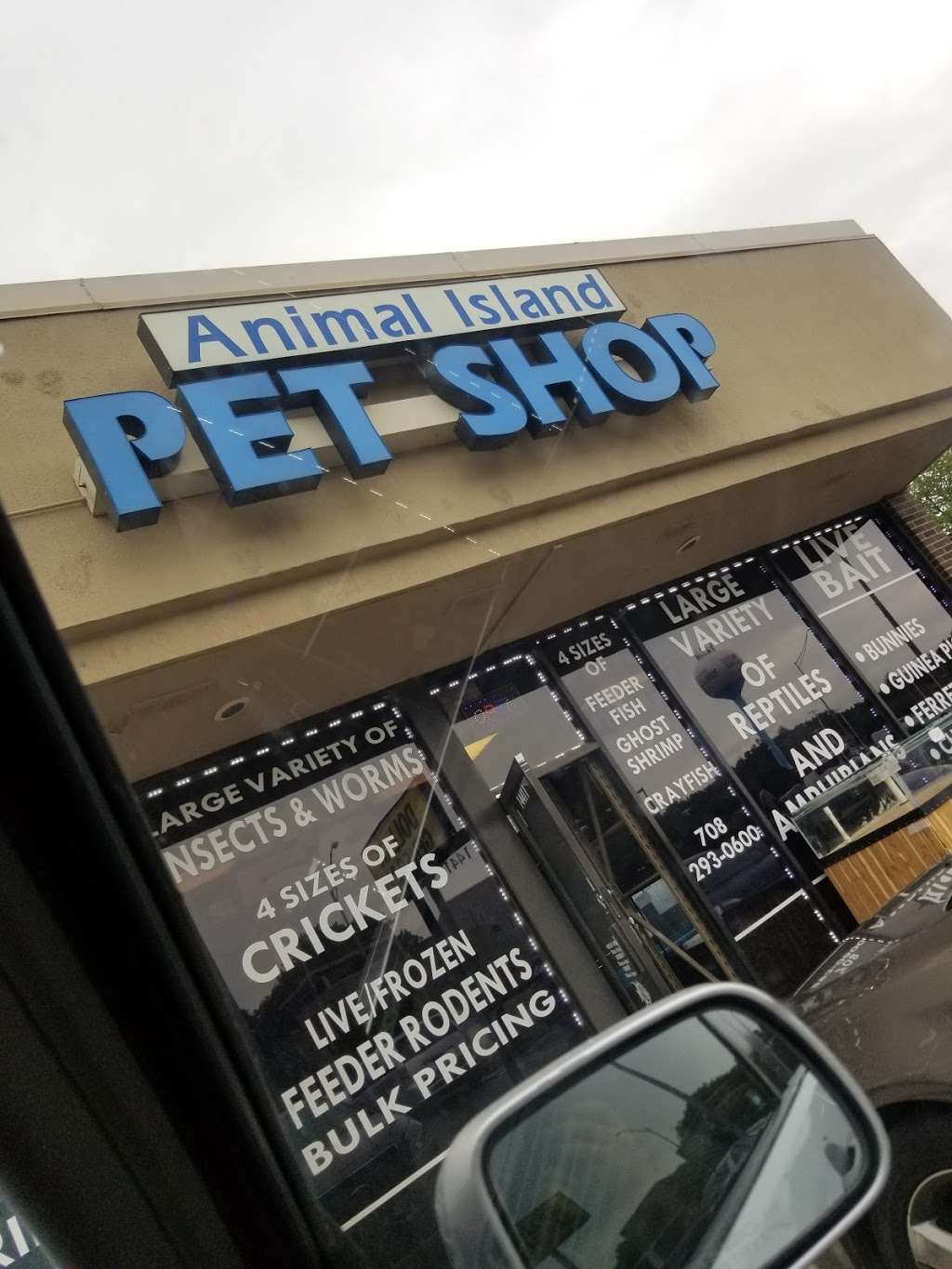 Animal Island Pet Shop | 14411 S Cicero Ave, Midlothian, IL 60445, USA | Phone: (708) 293-0600
