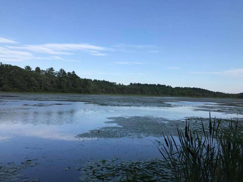 Duxbury Bogs | Duxbury, MA 02332, USA