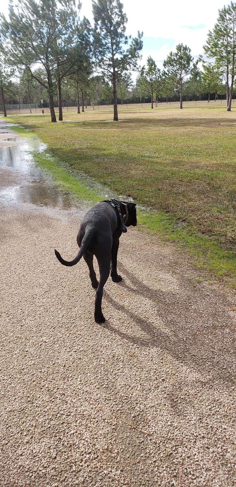 Baytown Bark Park | 4334 Crosby Cedar Bayou Rd, Baytown, TX 77521, USA