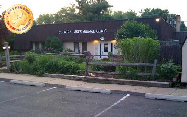 Country Lakes Animal Clinic | 378 US-46, Mine Hill Township, NJ 07803, USA | Phone: (973) 584-1836