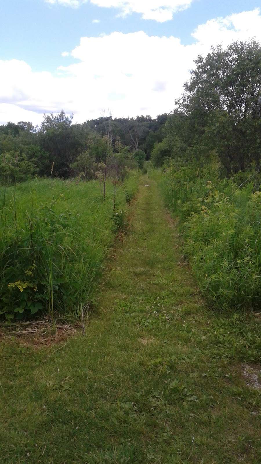 Ferson Creek Fen Nature Preserve | 4N316 State Rte 31, St. Charles, IL 60174