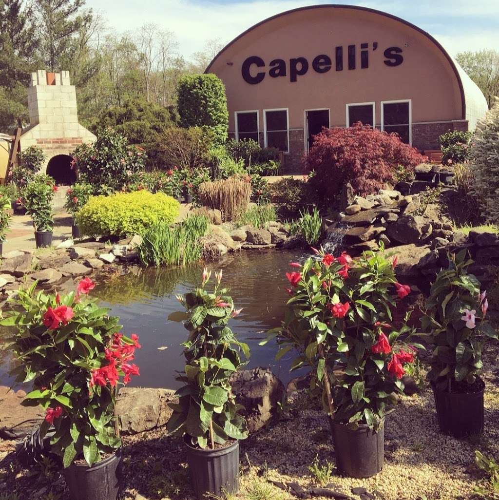 Capellis | 15 Kanes Ln, Middletown, NJ 07748 | Phone: (732) 615-0371