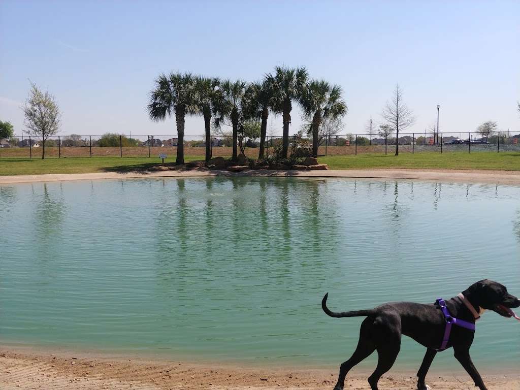 Austin Meadow Park | 4100-4176 Austin Meadow Dr, Sugar Land, TX 77479, USA