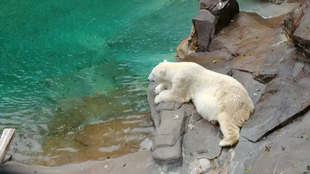 Alaskan Adventure Henry Doorly Zoo | 3701 S 10th St, Omaha, NE 68107, USA | Phone: (402) 733-8400