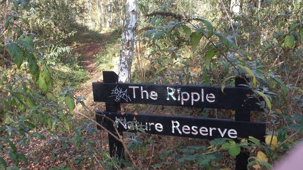 The Ripple Nature Reserve | Barking IG11, UK