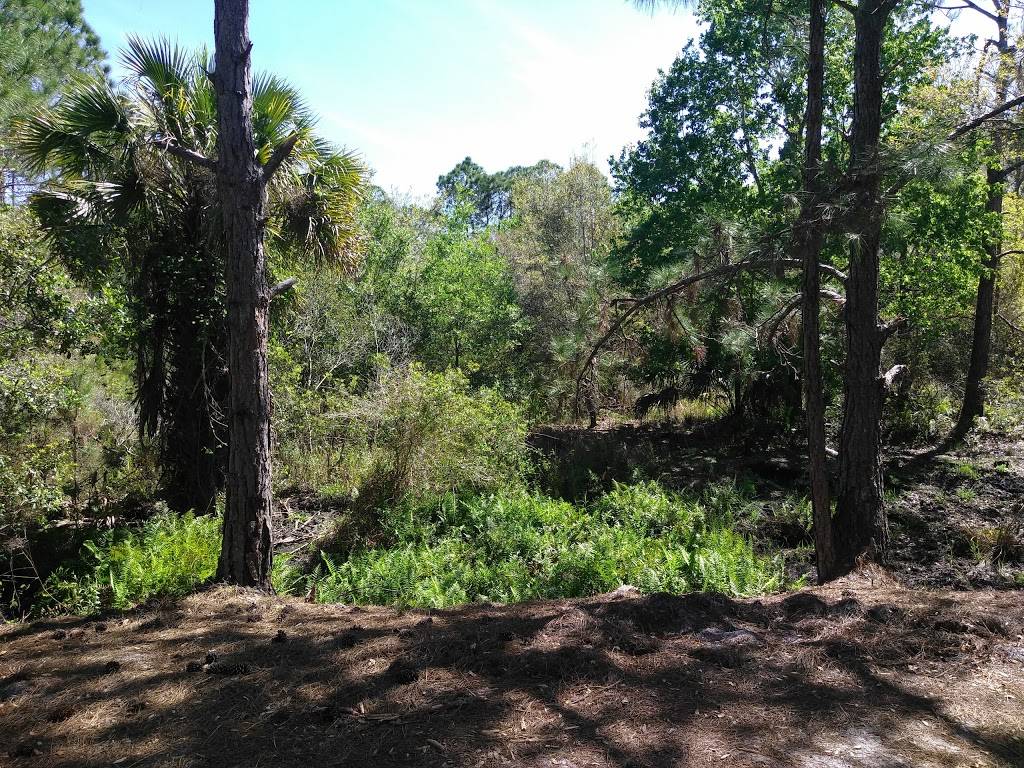 Micco Scrub Sanctuary | 9200-9298 Babcock St SE, Palm Bay, FL 32909, USA