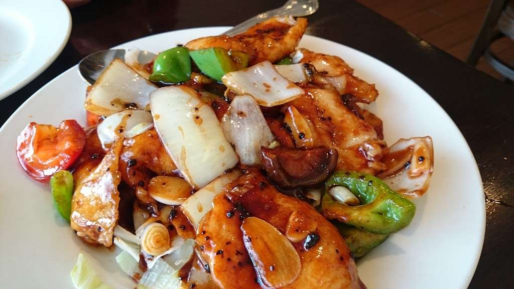 Han Dynasty | 404 NJ-70, Cherry Hill, NJ 08034, USA | Phone: (856) 428-0088 Han Dynasty | 404 NJ-70, Cherry Hill, NJ 08034, USA | Phone: (856) 428-0088