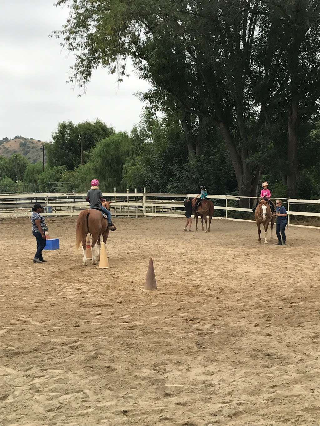 Fun With Horses | 449 Carbon Canyon Rd, Brea, CA 92328, USA | Phone: (949) 285-5286