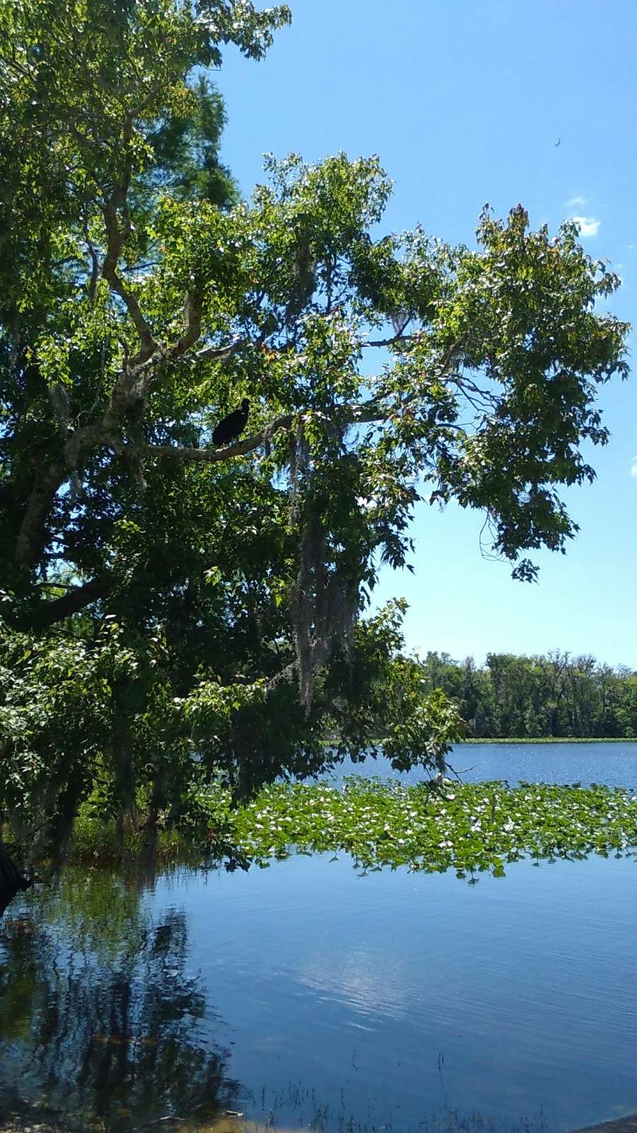 Lake Dias Park | De Leon Springs, FL 32130, USA